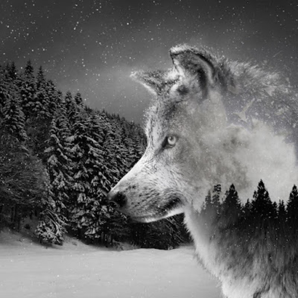 Meet your Posher, Barry